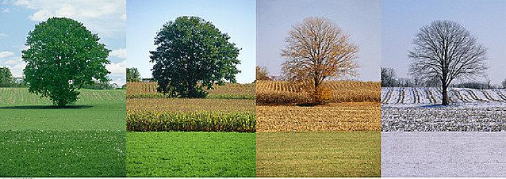 《超级机器人大战30》实机演示Part3：实践编